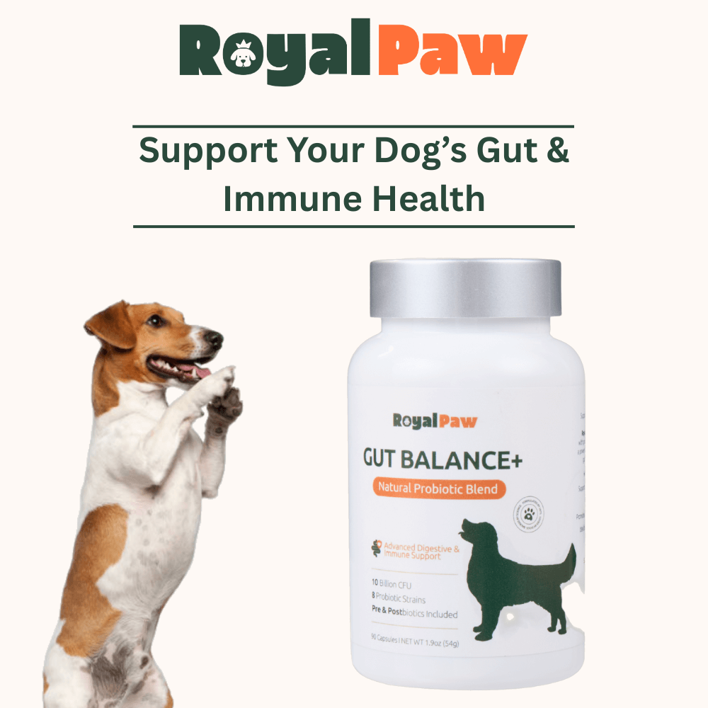 Royal Paw™ - Gut Balance+ Natural Probiotic Blend