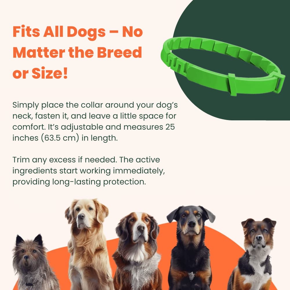 Royal Paw™ - 100% Natural Flea & Tick Protection