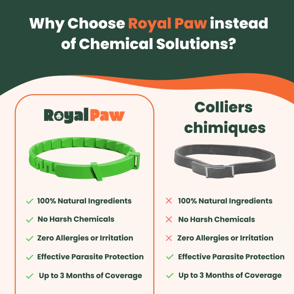 Royal Paw™ - 100% Natural Flea & Tick Protection