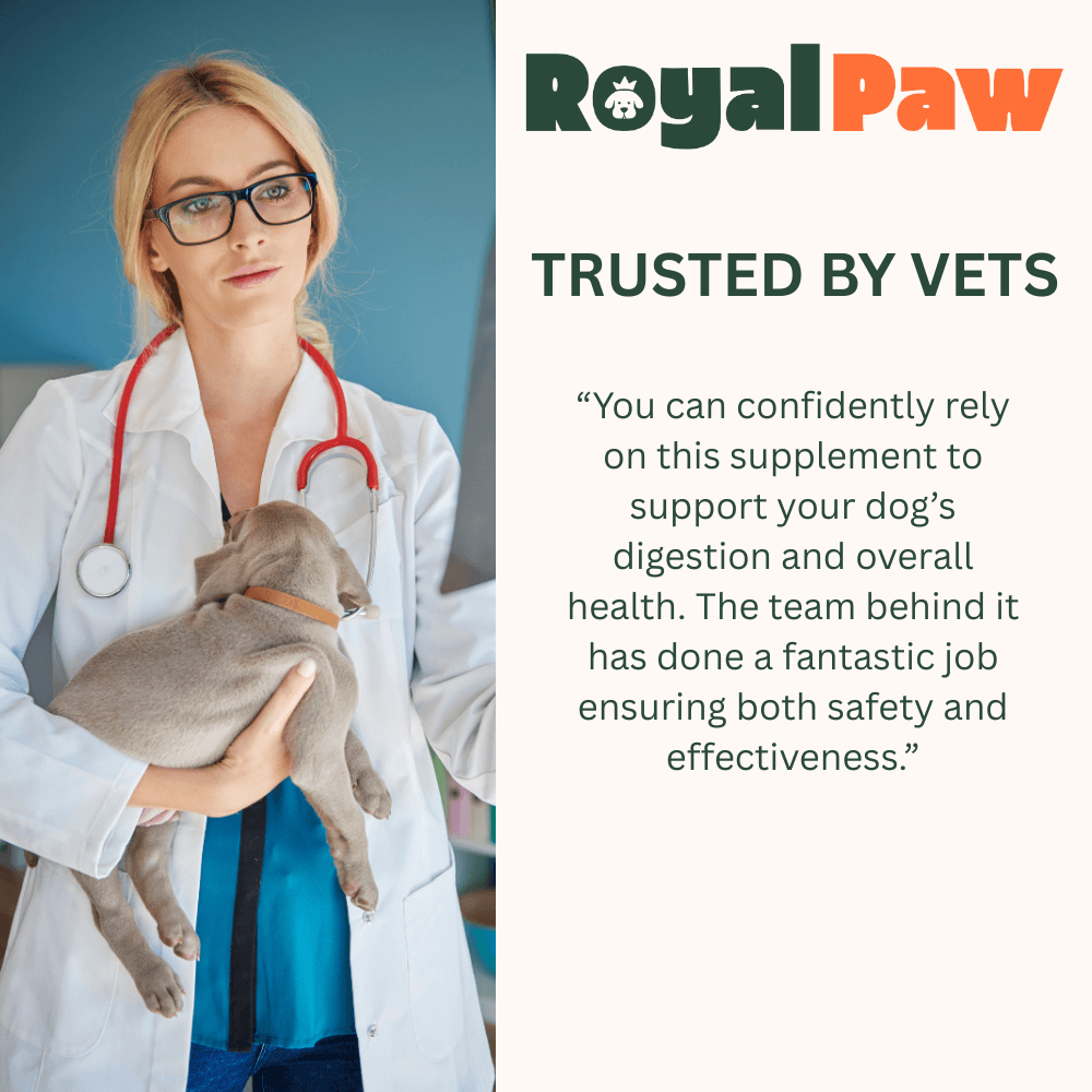 Royal Paw™ - Gut Balance+ Natural Probiotic Blend