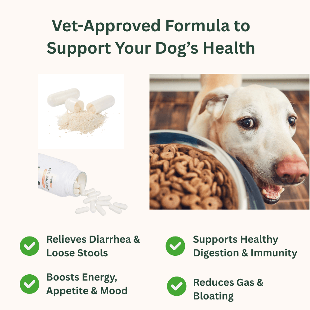 Royal Paw™ - Gut Balance+ Natural Probiotic Blend