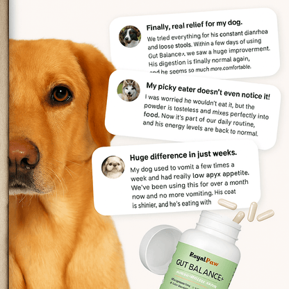 Royal Paw™ - Gut Balance+ Natural Probiotic Blend