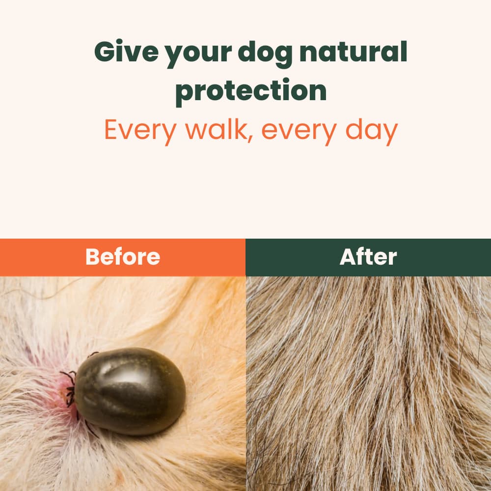 Royal Paw™ - 100% Natural Flea & Tick Protection