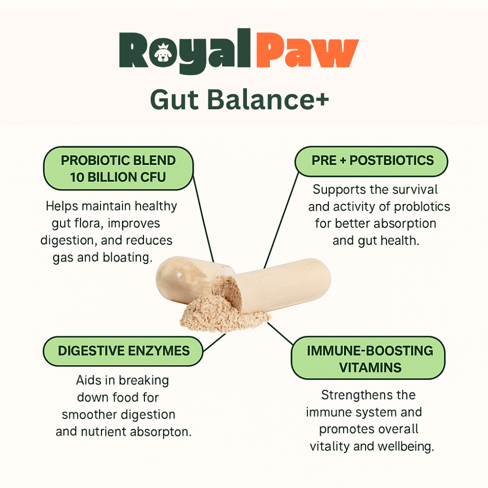 Royal Paw™ - Gut Balance+ Natural Probiotic Blend