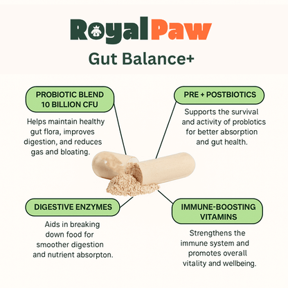 Royal Paw™ - Gut Balance+ Natural Probiotic Blend